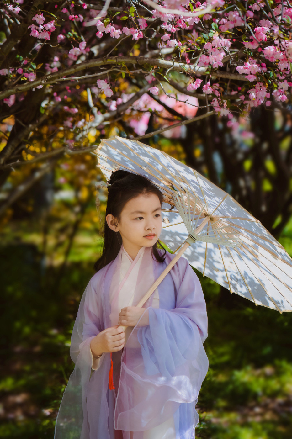 Collection 86 photo by Xuewen Duan