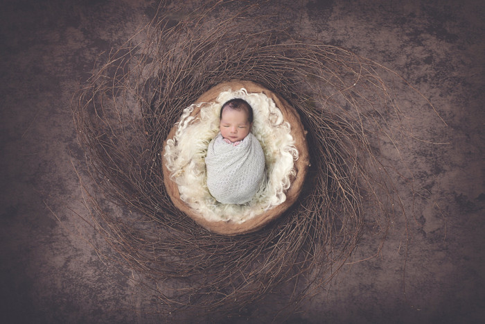 Collection 21 photo by Erin Gabel