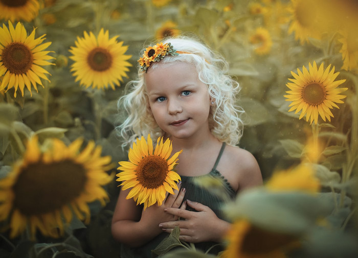 Collection 54 photo by Nicole Traubenek