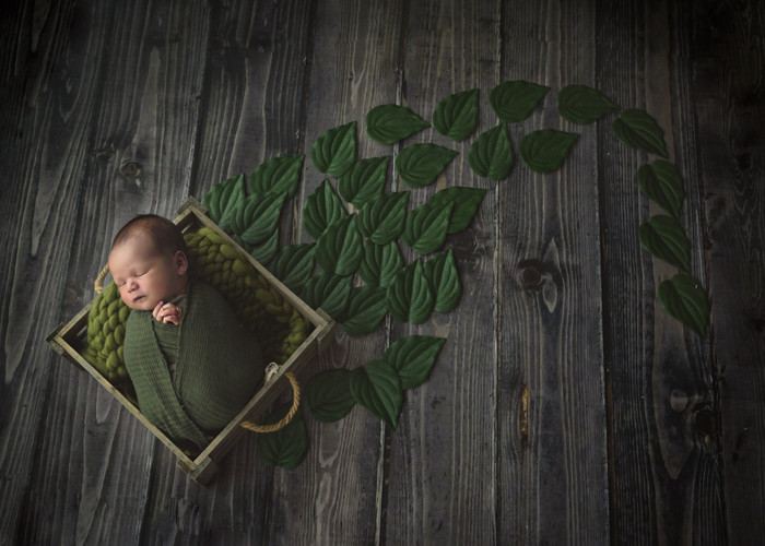 Collection 30 photo by Alexandria Neoh