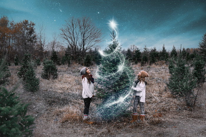 Collection 56 photo by Audrey Daelman