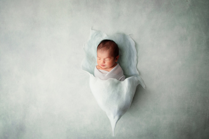 Collection 27 photo by Polina Kuklina