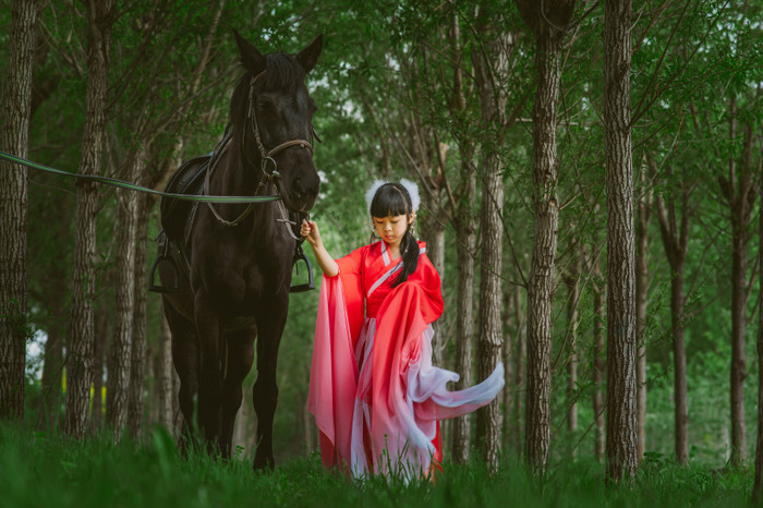 Collection 70 photo by Sen Tian