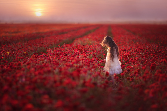 Collection 34 photo by Keren Danieli
