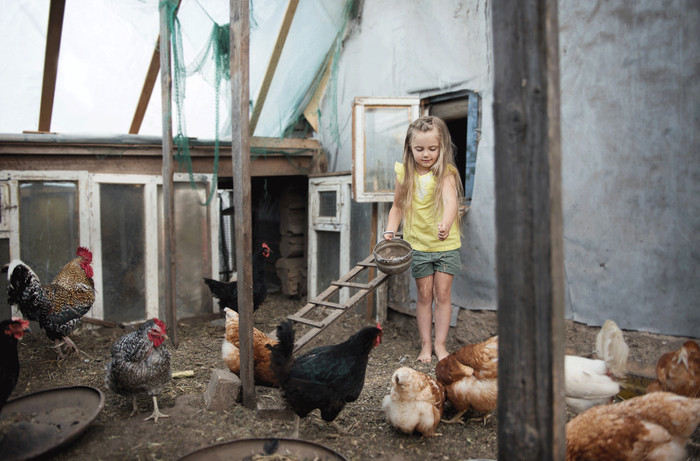 Collection 38 photo by Vaida Martinkiene