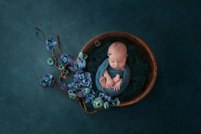Collection 32 photo by Elana Bebjak