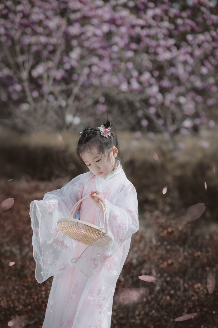 Collection 85 photo by Xuewen Duan