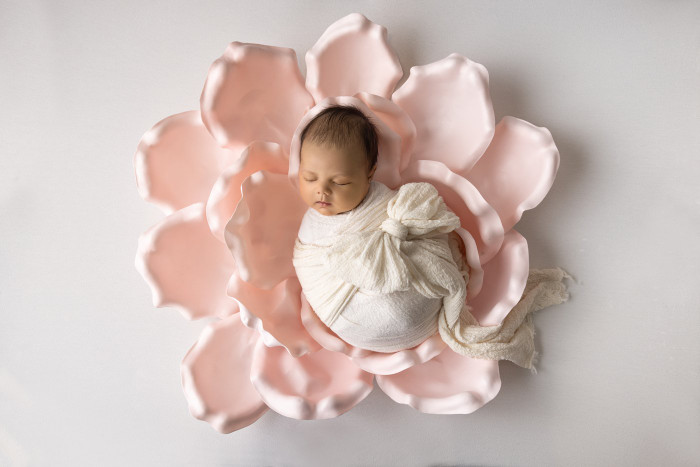 Collection 73 photo by Joanna Law