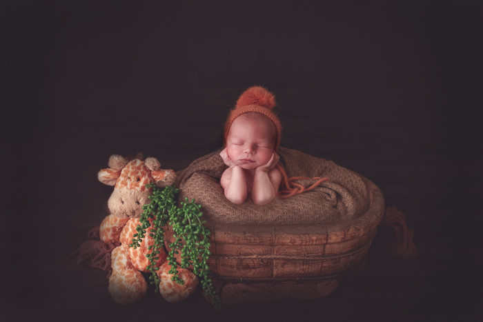 Collection 31 photo by Anastasia Lebedeva