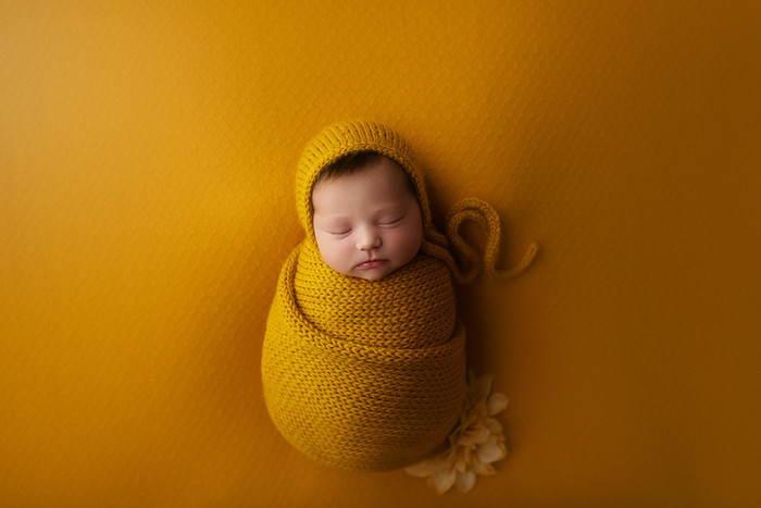 Collection 39 photo by Amanda Yskes