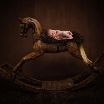 Little Miss Grace was such a pleasure to work with and curled  up into a little ball so well. This is a composite shot that I had been wanting to do for months! I love rocking chairs and Grace was a perfect fit for the job. 