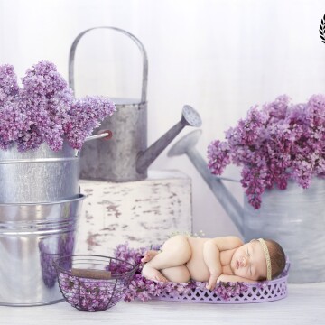 This is Allison. Her shoot was such a dream. I actually went to school with her mom all the way through high school.  I love it when I get to reconnect with people from the past and meet their littles. Especially when they are this cute! 