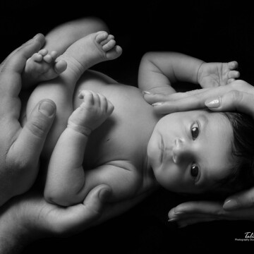 Newborn, maternity and baby photographer Talia Chen (taliachen). Photo of 10 June