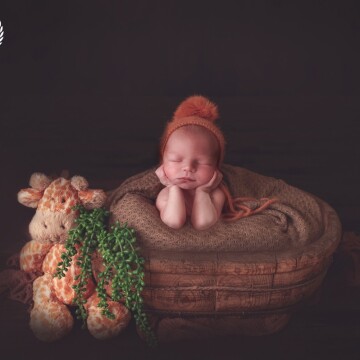 Newborn, maternity and baby photographer Anastasia Lebedeva (irelandia). Photo of 21 November