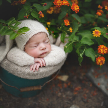 Newborn, maternity and baby photographer Sophie Crew (Sophdog33). Photo of 19 September