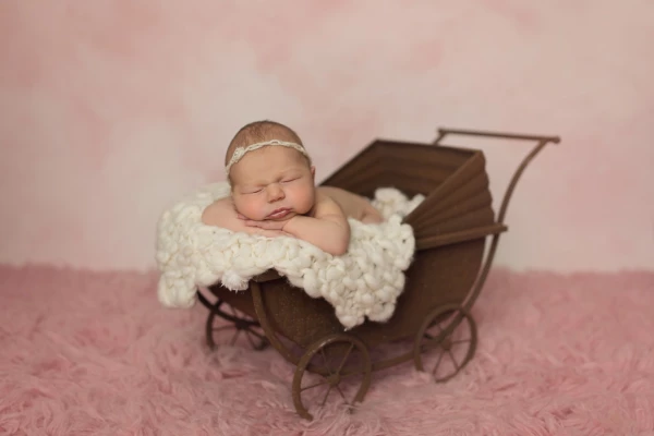 I love this prop for baby girls!  Mom requested this set up as part of the newborn session so how could I resist!
