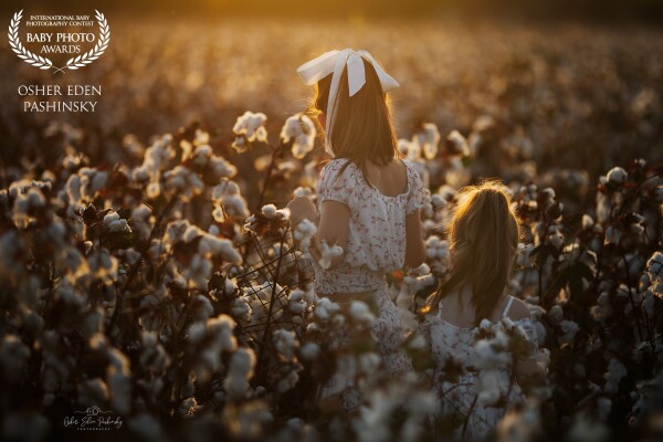 The sisters Emma & Or went out to collect pieces of cotton in a big field. <br />
To capture the bond between them on camera is magical. one is helping another. Sisterhood.