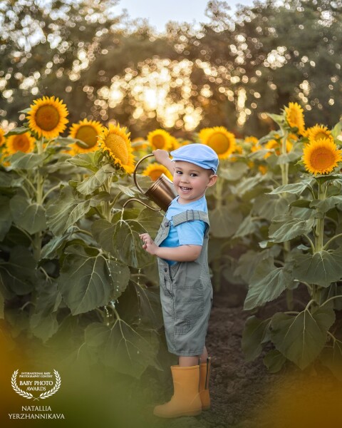 Mama's little helper:)<br />
It was a perfect day to get those rubber boots on and get a little dirty. You can see the excitement on the boy's face when he saw that water drip down the sunflower leaves. It was a win-win situation for everybody: the boy, the photographer, and the flower:)