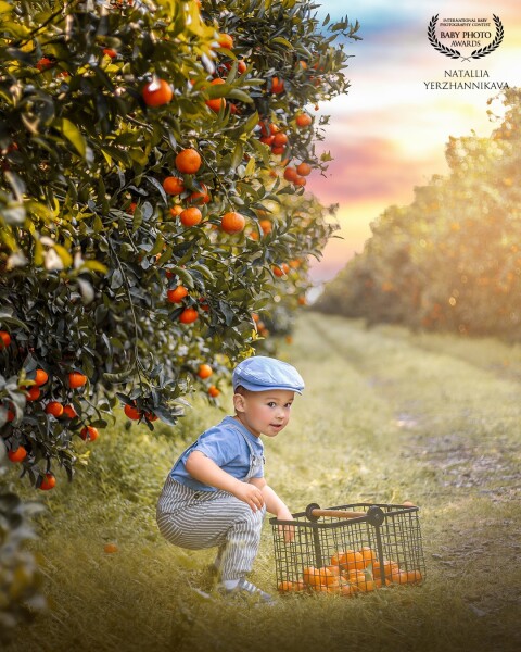 This boy's face was lit with joy when he saw so many of his favorite fruits around. It was a lovely evening. Just a couple of weeks before the mandarins were harvested.