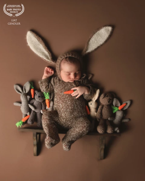 This little bunny was the cutest session of all times.