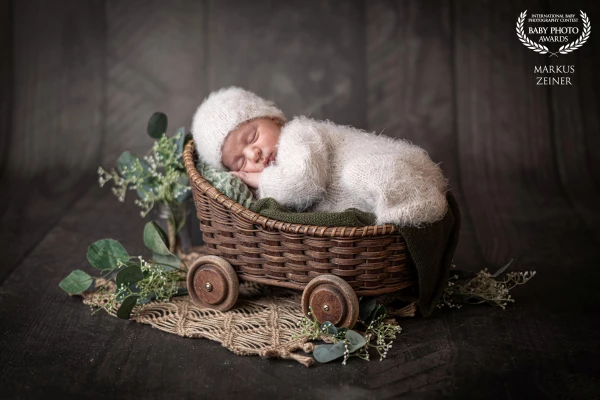 Little Dreamer’s Journey

This image captures a newborn in its first days of life, gently wrapped an...