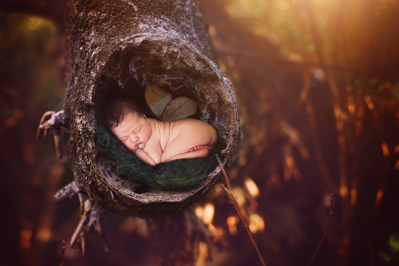 The fairy collection - As much as I love taking photos of newborns and kids, for a while I had been wanting to do something creative and different. I've always been a believer in magic and one day walking in the forest I saw this little fairy fast asleep and was lucky enough to get a quick snap.