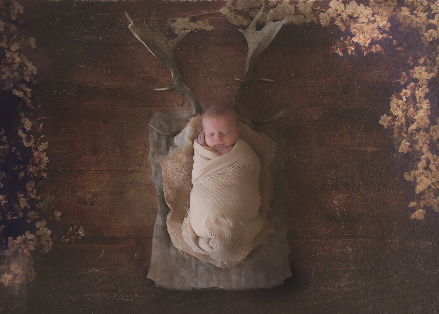 Mum messaged me that they wanted to include deer antlers in the shoot as dad is a keen hunter would I mind if the brought them could we do something with them. I totally missed that they had a baby girl so had the studio all set up for a little boy and deer antlers so a quick change to make it more feminine and a bit of work in post production it turned into a real statement piece.
