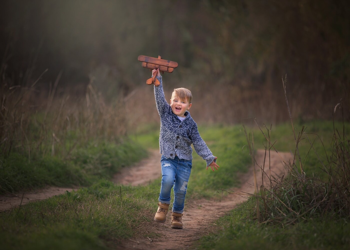 This image was taken during a family portrait session. The little boy was getting a bit bored, so I encouraged him to have some play time and fly a little wooden plane around. I love the expression on his face capturing childhood and playing outdoors.