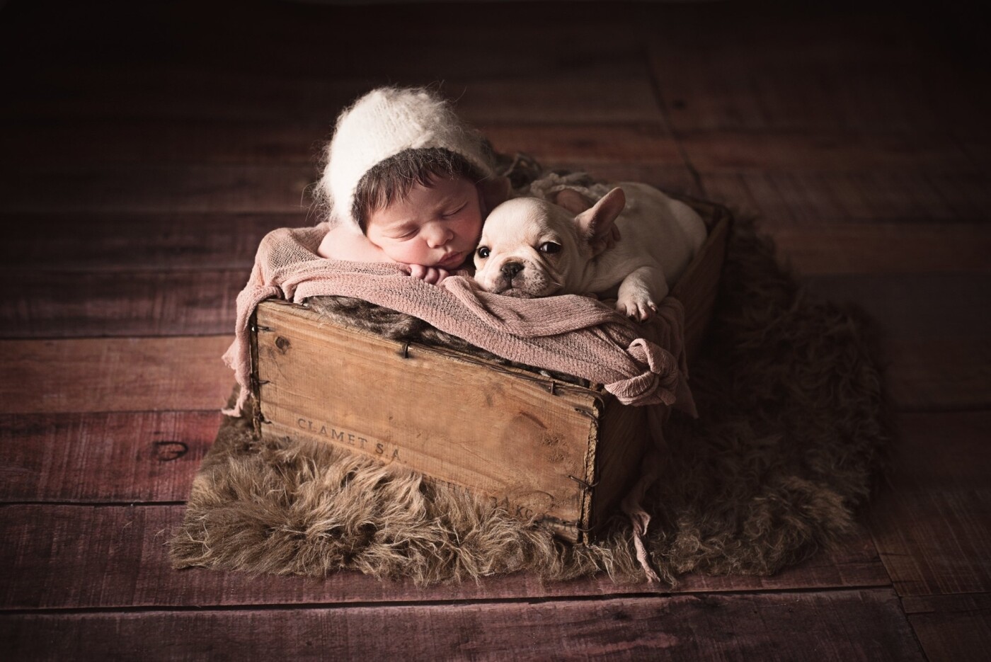 Nathan came to our studio with his parents , lovers of our most faithful friends , dogs . We receive Hilario , a baby Bulldog Frances who shared the photo with Nathan and full of love in the time of shooting .<br />
" There is no better therapy than a puppy kissing you face "<br />
Ben Williams