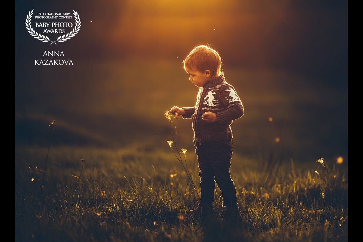 This is my son - Leo. I wanted to take a picture in the field at sunset. In the evening, the sun gives such a nice honey light .... Try and you will experiment with the light, and you will see what wonderful photos will be obtained!
