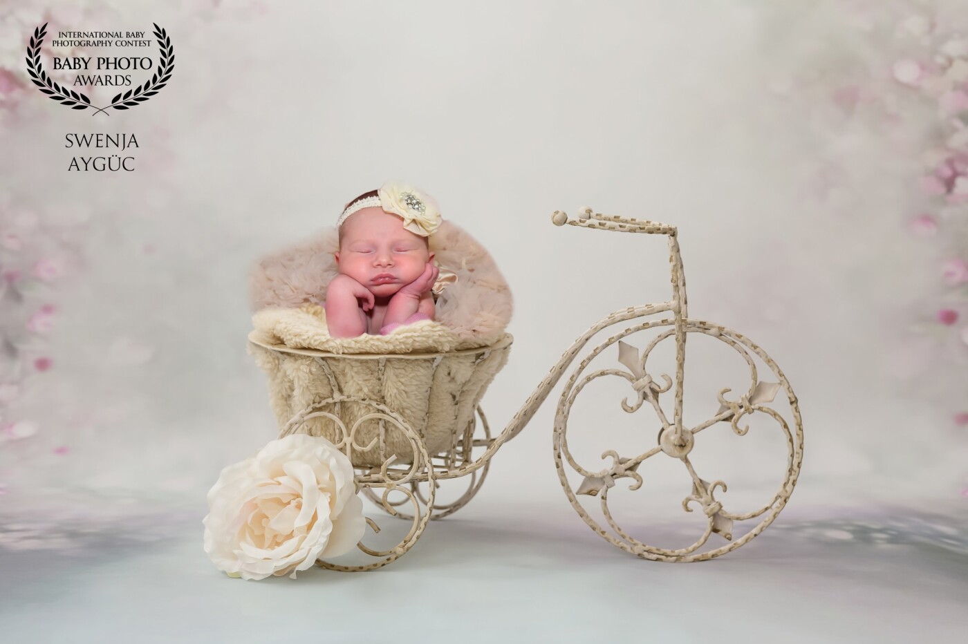 Hallo ich i'm a baby photographer and I'm very proud to show you my work. I'm a baby photographer now 4 years long and I'm very happy to that.