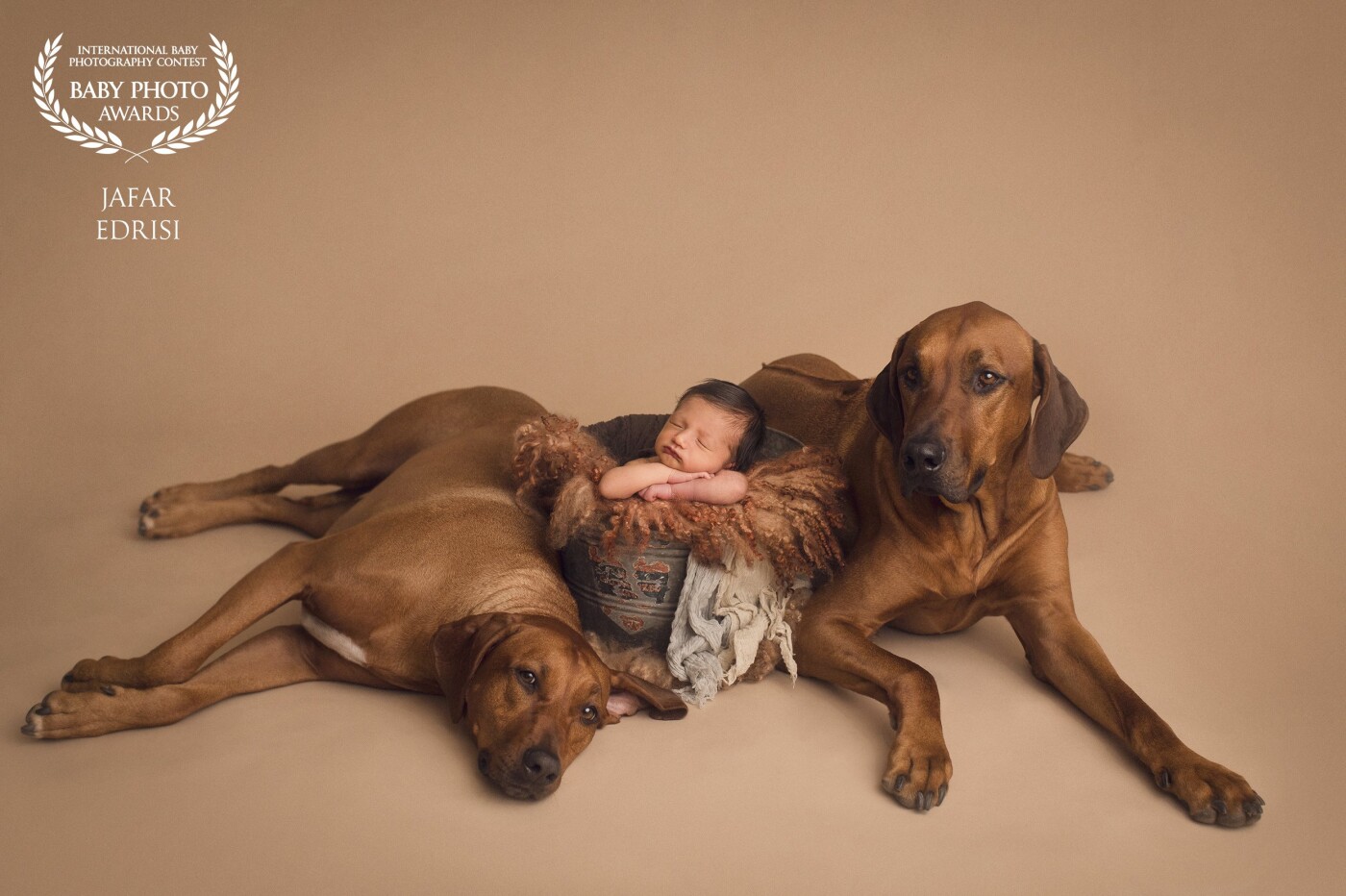 Those who have a four-legged family member, know how it feels to include them in your happy moments. For this lovely family, it was very important to have some shots of their dogs and their little prince. Here at Jana photography we make sure to capture all these beautiful moments. <br />
<br />
http://www.jana.photography