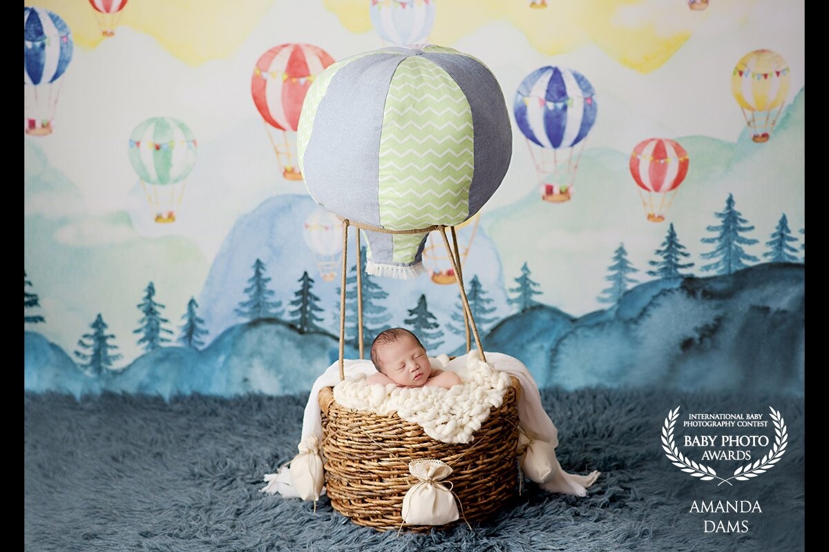 Let him sleep, for when he wakes, he will move mountains! This baby boy was 11 days new and so sweet. This setup was a request by baby's mom and I just love it!