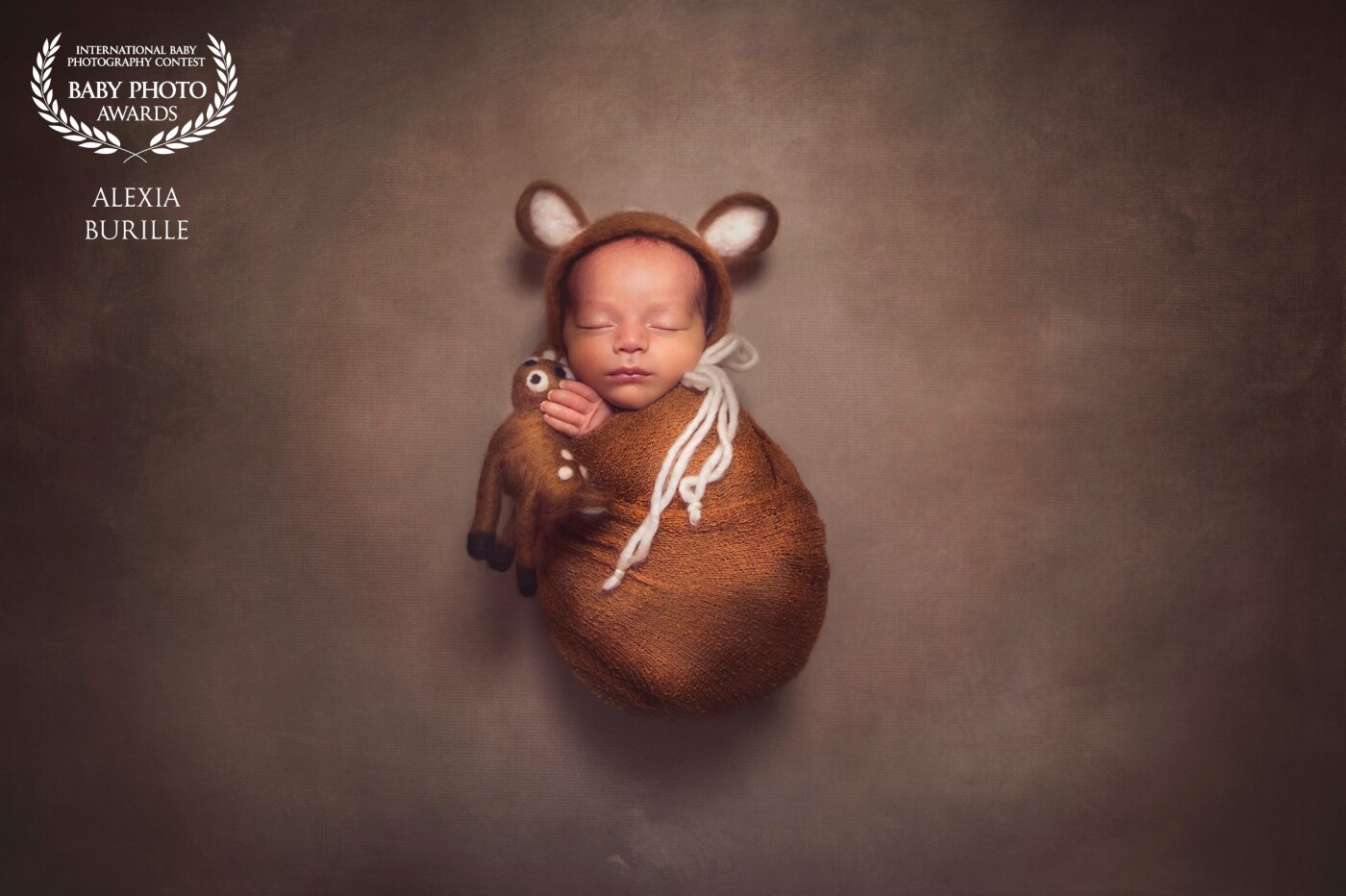I've got a second passion, wildlife photography. When I started newborn photography, I was really attracted by animals hat. I think they are so cute with. At the beginning it was more for fun, and know my clients comes to me for that, because they love this atmosphere. 
