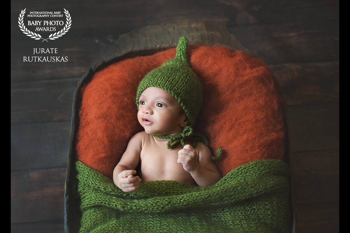 A pea in the pod. This beautiful baby boy was awake through his session but content and just mesmerized by the light streaming through the window.  