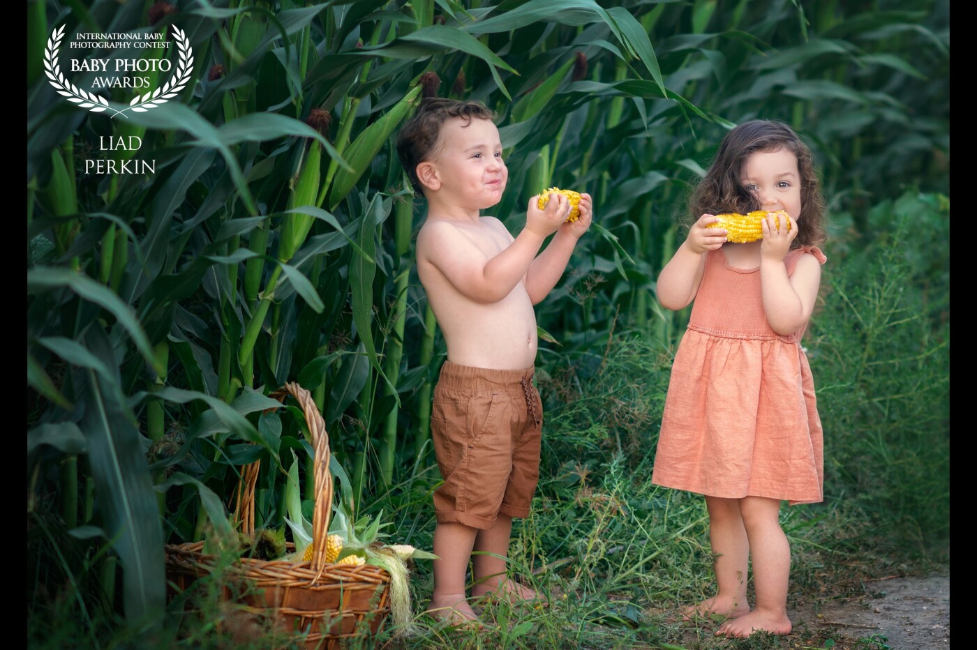 My Eitan & Aimee (2 years old).  A photo session in a corn field in the kibbutz. <br />
The Tarzan and Jane version 2018. 