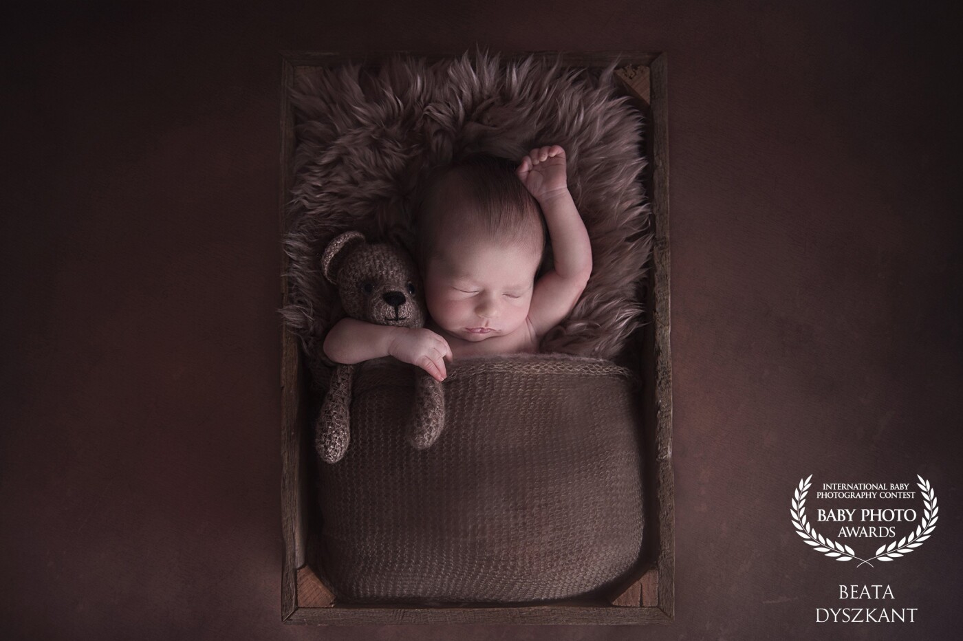 Thank you for choosing my image. I found this picture in my gallery a while ago and thought it has got potential. I love this dreamy pose of 14 day old Alfie. He is so relaxed sleeping next to his teddy bear. Thank you for the parents for trust during the session. 