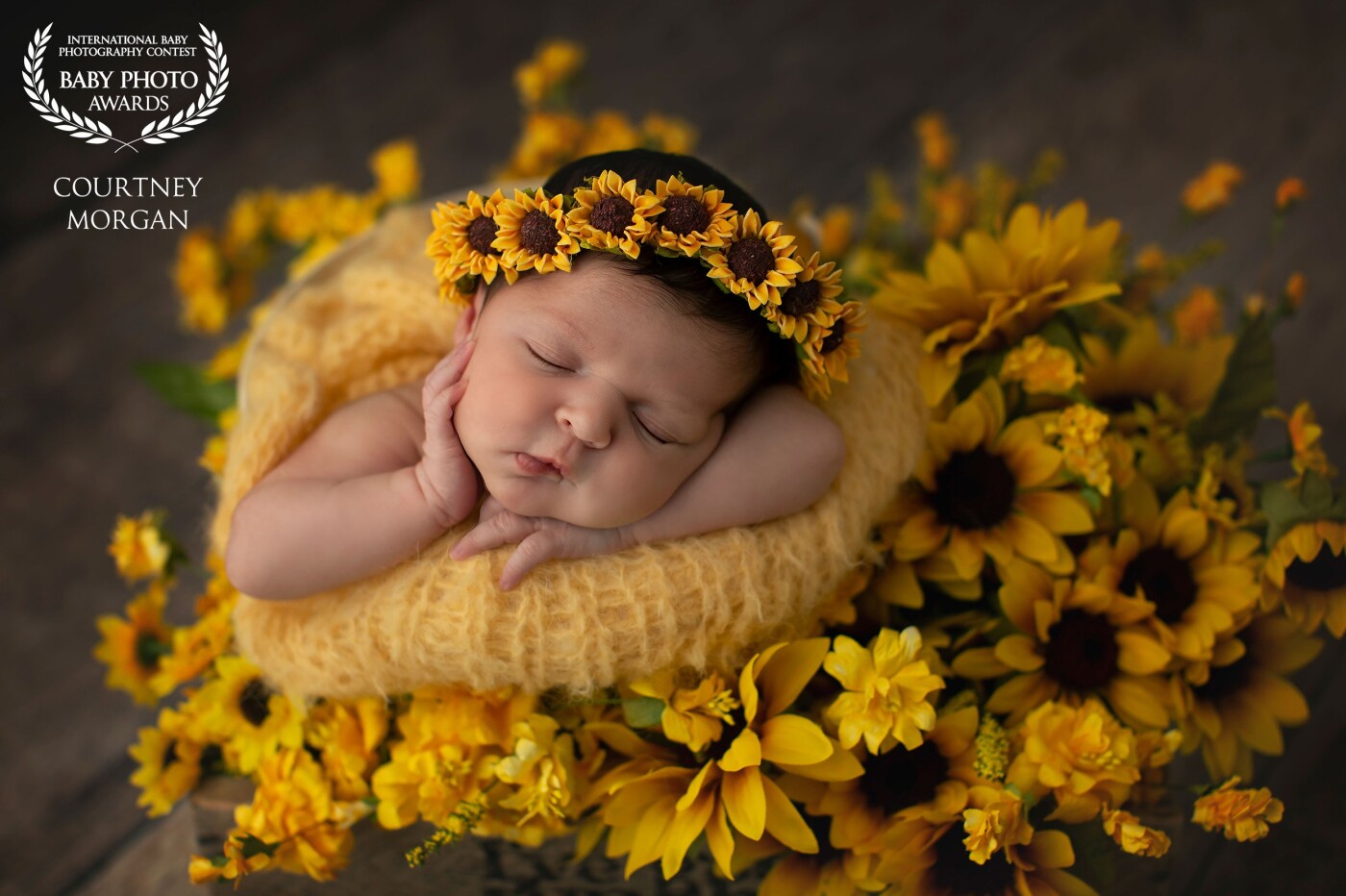 This baby's mama loves sunflowers, so we worked to create an image that was double-meaningful to her.  Sunflowers represent loyalty, strength, and adoration.  They can grow just about anywhere they are planted.  What a great way to show your baby how strong and powerful they are, as well as how much you adore them.
