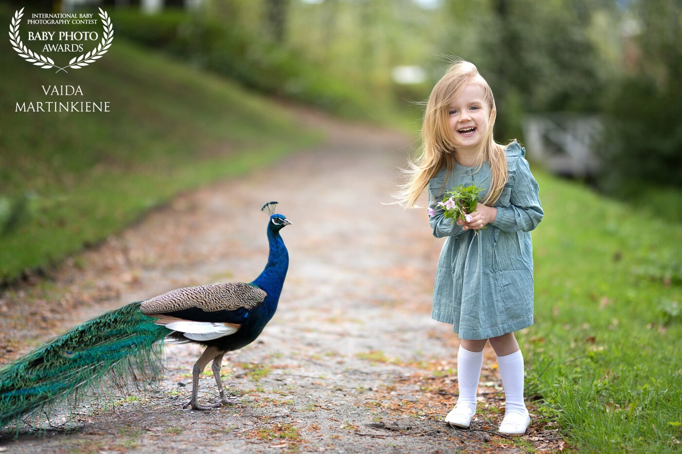 This photo session took place in one of Norway's beautiful Manor. In this manor, the peacocks walk freely among the people. This beautiful peacock became our friend after spending several hours in this manor. He followed us all the way to the gate to say goodbye :)