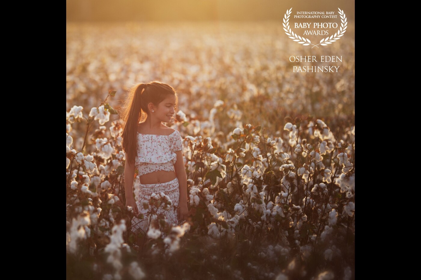 One of the periods I love to photograph is the cotton blossom period. The white color with the brown and yellow gives off a warm and enveloping atmosphere just as cotton eventually becomes.<br />