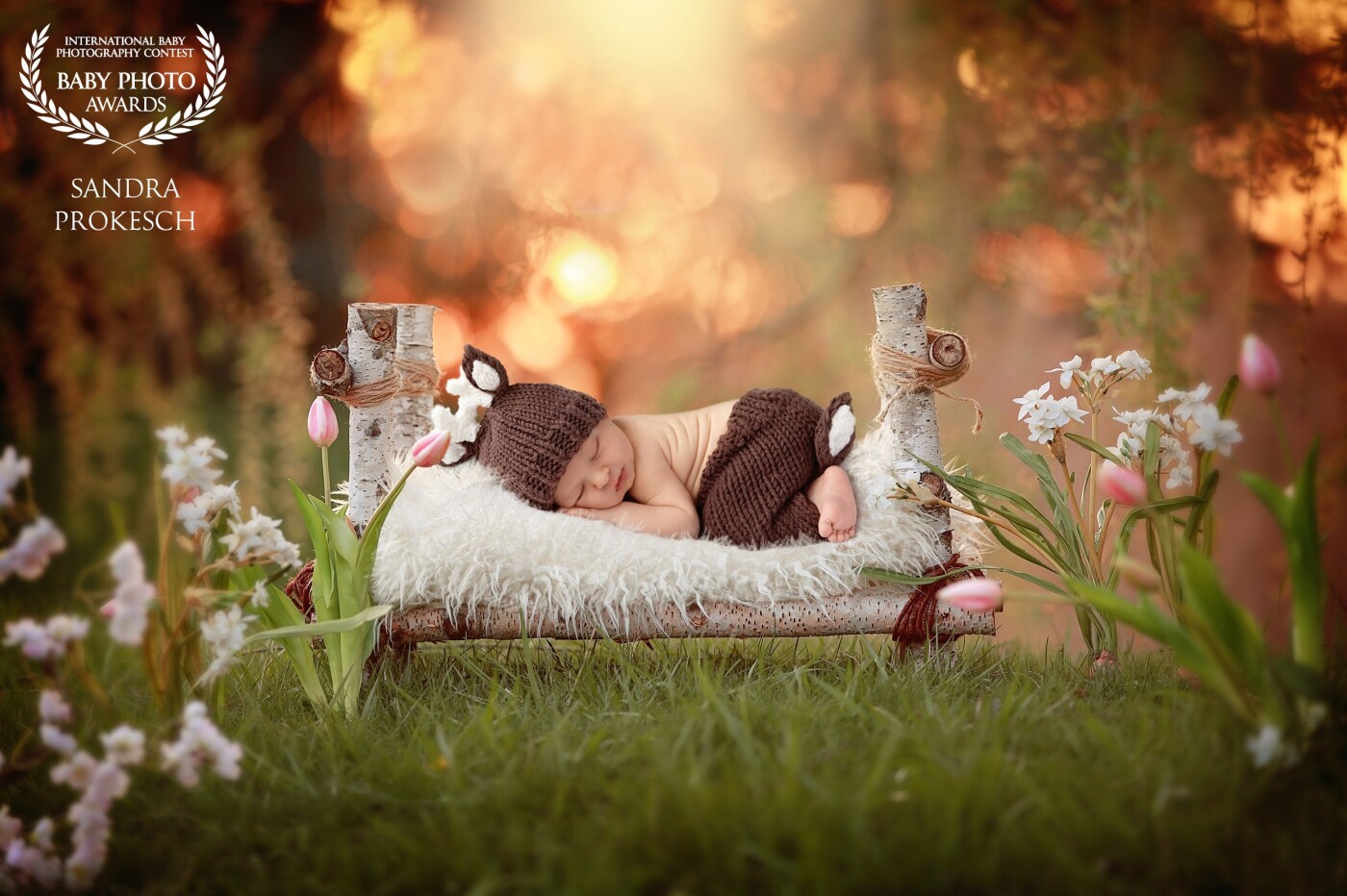 This little girl's mom brought for her newborn session so cute fawn outfit, so I had to create for her something special. Spring has already come to Austria which was an opportunity to take advantage of it. I love this atmosphere in the photo!