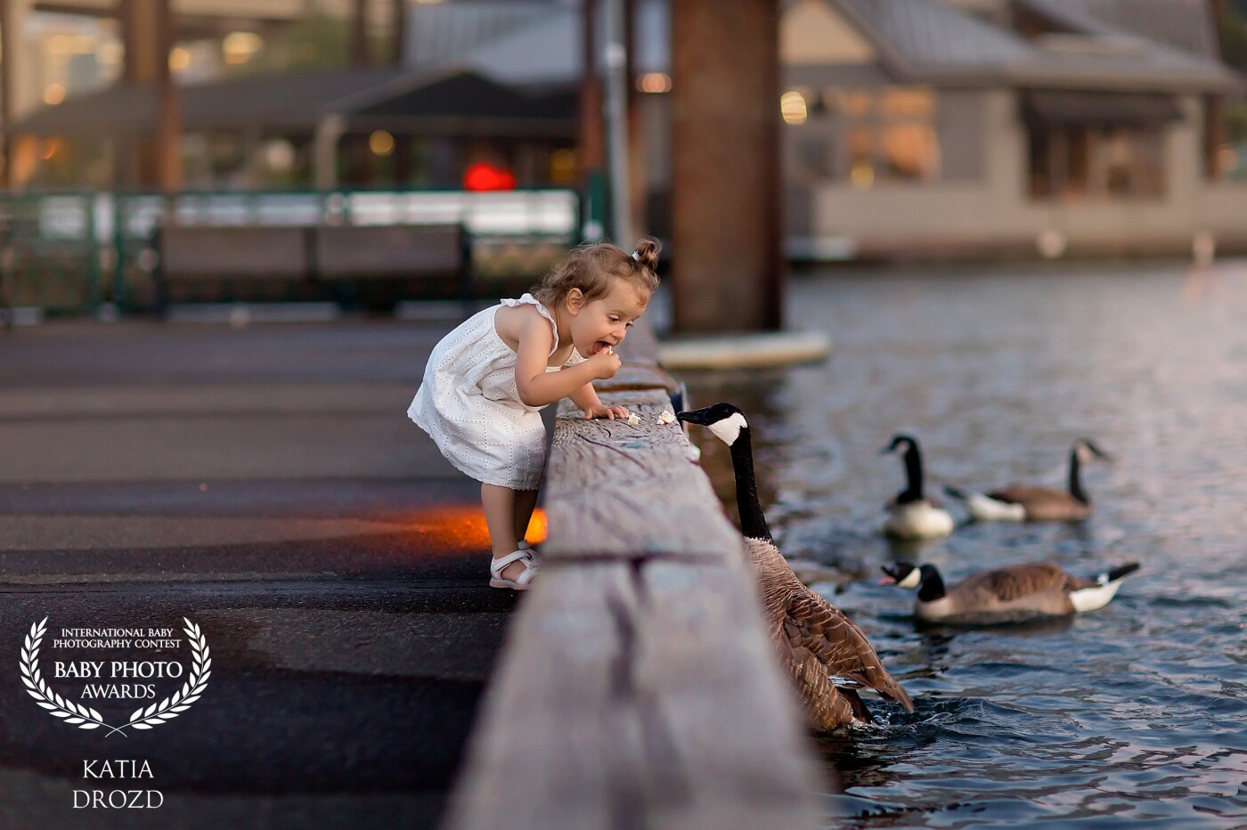 I captured this picture on one warm evening last summer. I watched how my daughter was feeding ducks and could not miss capturing this interesting and amazing moment