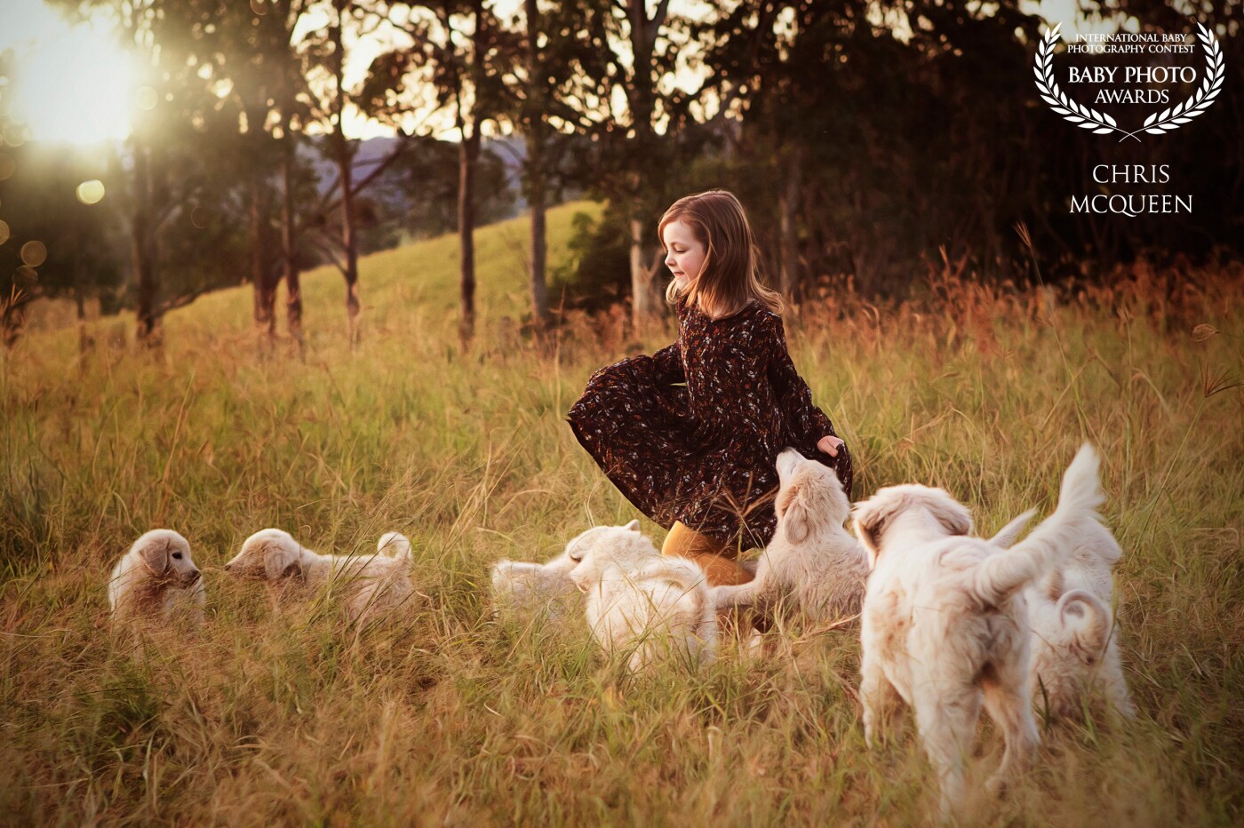Beautiful golden hour on the farm. Aubrey just loves playing with her Maremma puppies.  There are so many of them. They follow her everywhere.