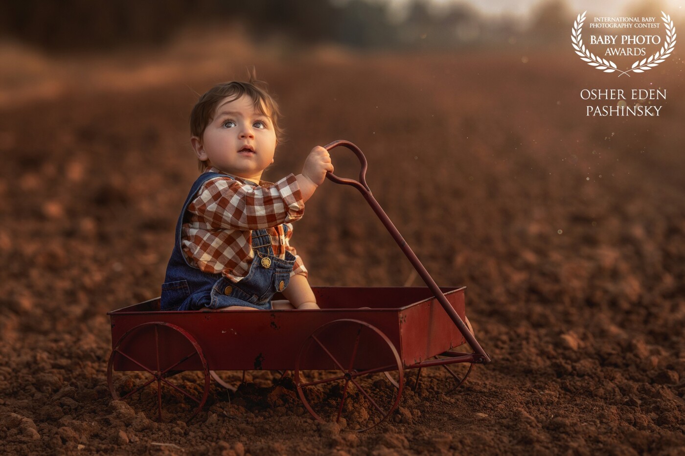 I discovered about myself, quite by chance, that I was connecting to the earth. Not just for the blooming and green nature, but also for fresh brown soil. When I went to look for a location for a photo of Leo celebrating a year, I saw a plowed field and knew that there I must photograph because something in this brown earth reminds me of roots, a real connection to nature and I am glad that you also liked the result.