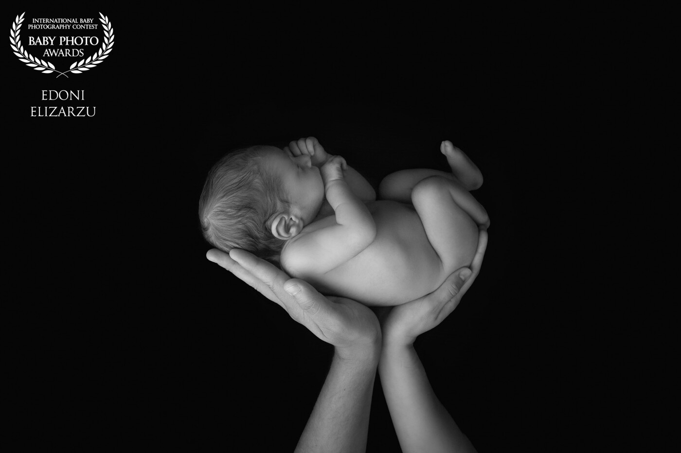 Baby boy, 10 days old, held by mom and dad hands! Simple and timeless photo that parents and all loves. This is the perfect photo to remember how small your baby was.
