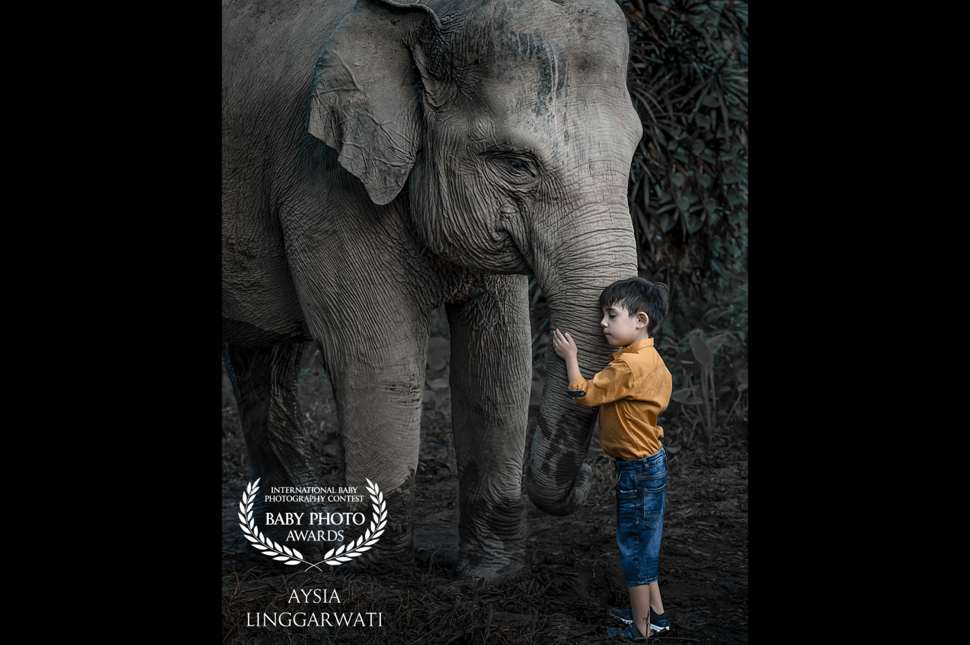 Tells about the friendship between a boy and an elephant. They are good friends, it seems the boy loves the elephant.<br />
Location: Balikpapan City, East Kalimantan.