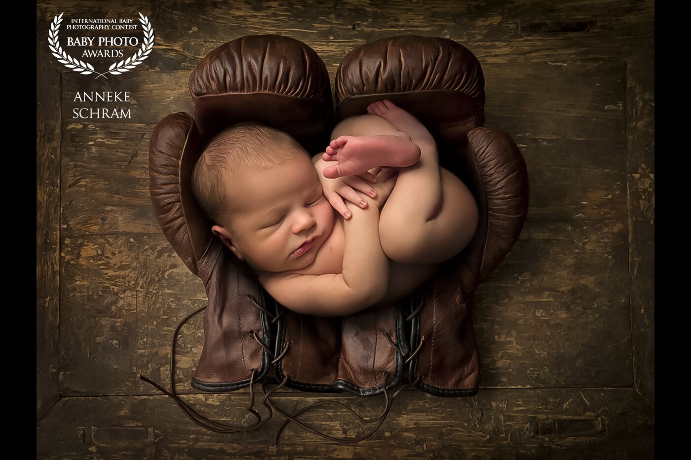 This is my sweet little nephew. He was lying on a dark brown blanket, with Dad's hands under the blanket holding him in the curled up pose. The rest is a composite with my old leather boxing gloves.