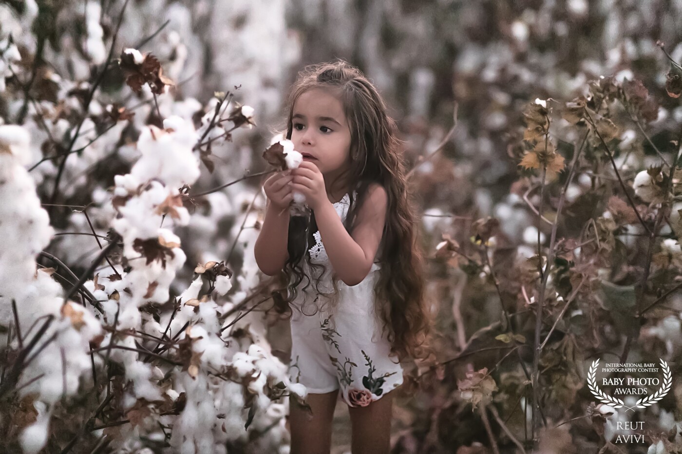 I waited so long for the cotton fields to dry and turn brown in their beautiful color, my beautiful daughter enjoys the softness of the white cotton