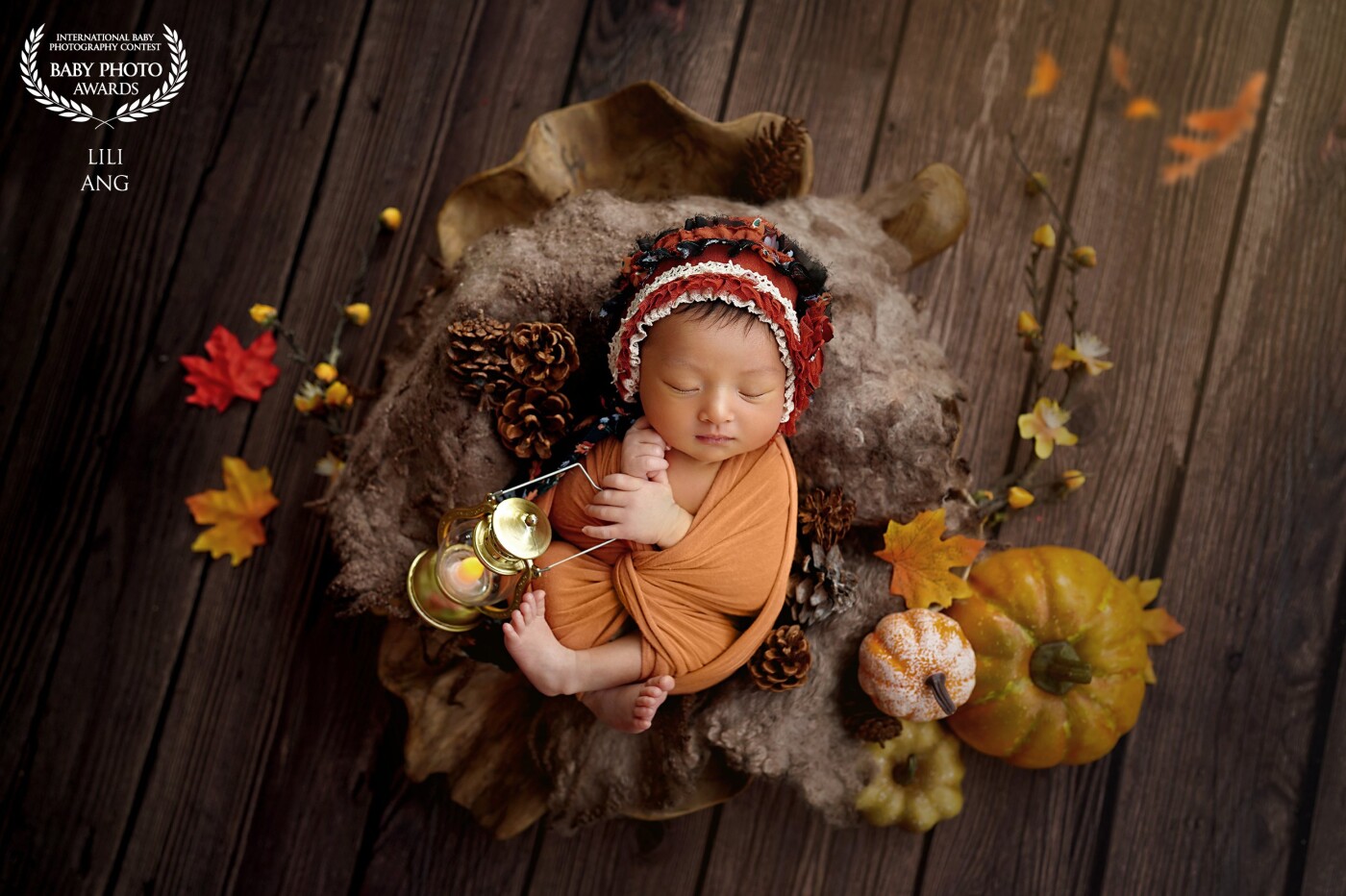 Picture of Baby Bailey in nature and earth tone autumn scene, with maple leaves and some pretty pumpkins around. <br />
Simple picture with warm feeling. Just love it. :)