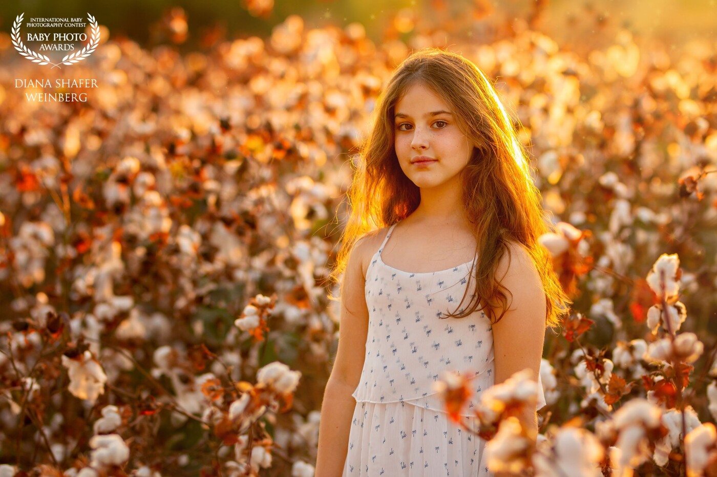 Beautiful Isabelle is standing , in the middle of a cotton field, at sunset. The right timing, the right lighting and the angle create magic